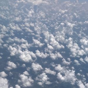 Meet your Posher, Bailey